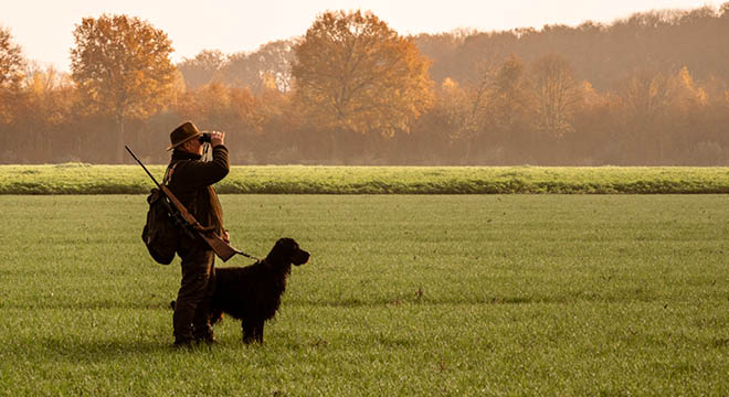 Person, in a field, looking through binoculars with their black dog
