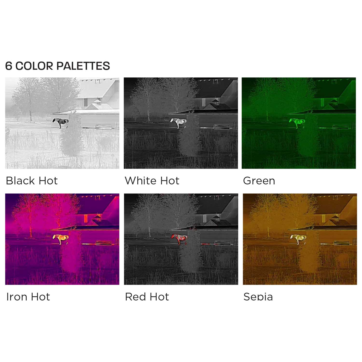 Alpen Apex thermal color palette comparison showing all six viewing modes — Black Hot, White Hot, Green, Iron Hot, Red Hot, and Sepia — with a thermal scene of a rural building