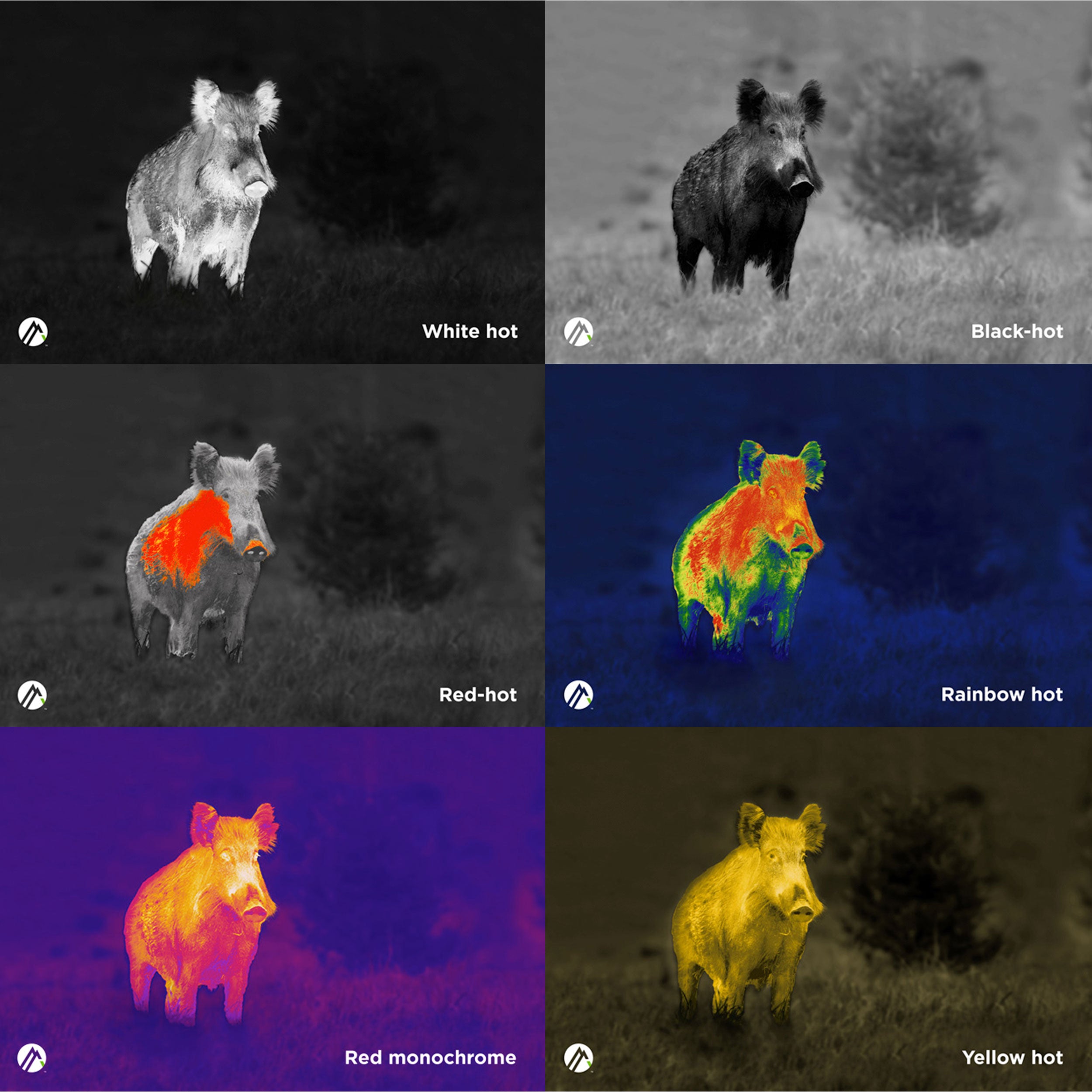 Apex Thermal Monocular 35mm